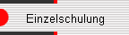 Einzelschulung